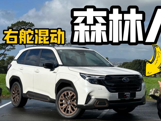 斯巴鲁新车suv森林人(斯巴鲁新车suv森林人试驾视频)