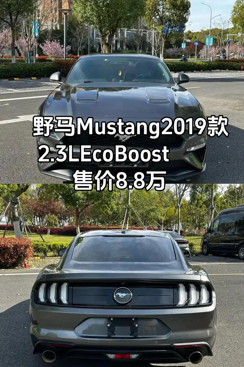 野马纯电动汽车/野马纯电动汽车多少钱