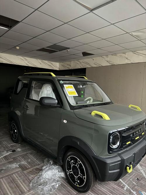 熊猫汽车最新款(熊猫汽车报价及图片大全)