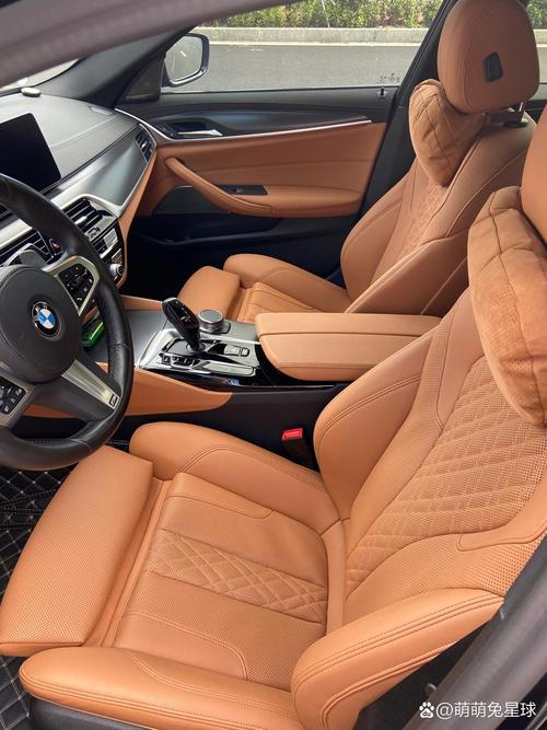 宝马5系内饰干邑色 2021款宝马5系内饰颜色哪个好看