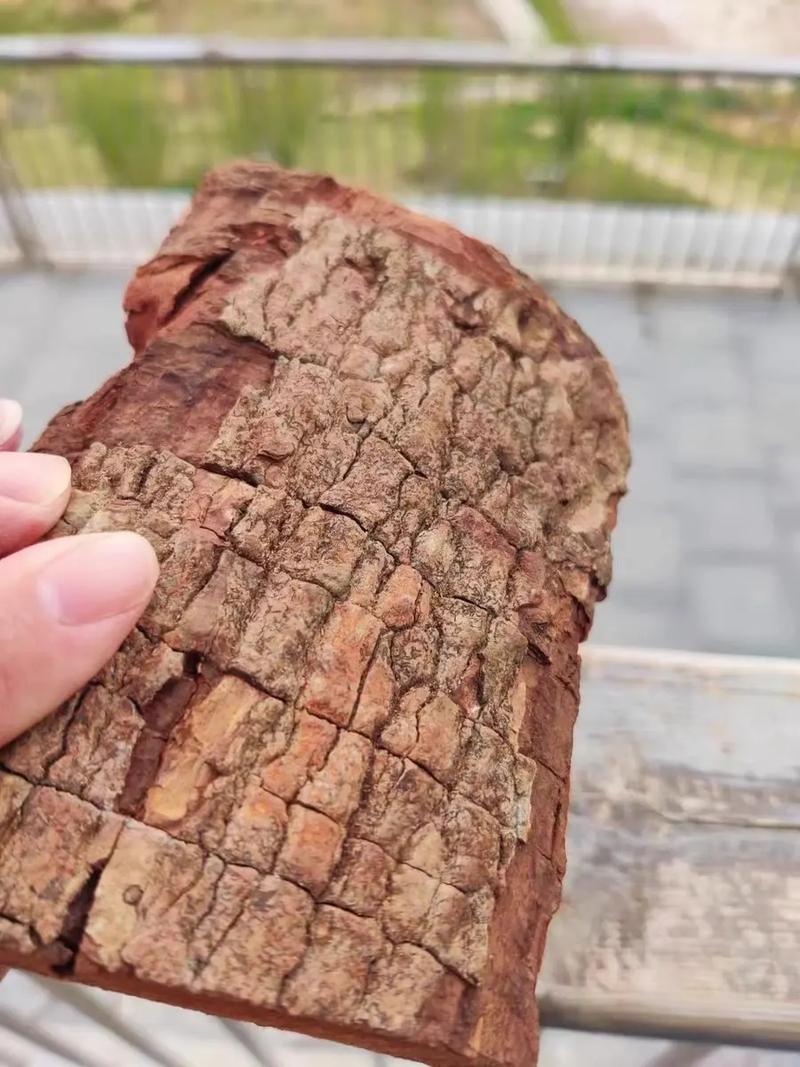 安哥拉树皮价格多少钱一斤,安哥拉树皮的害处