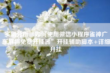 实测分析“如何使用微信小程序雀神广东麻将免费开挂器”开挂辅助脚本+详细开挂