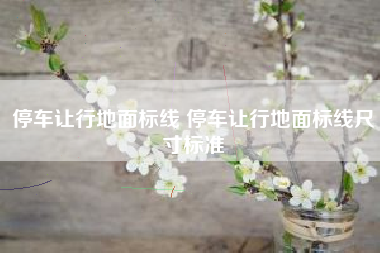 停车让行地面标线 停车让行地面标线尺寸标准