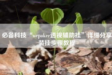 必备科技“wepoker透视辅助挂	”详细分享装挂步骤教程