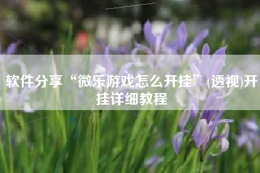 软件分享“微乐游戏怎么开挂	”(透视)开挂详细教程