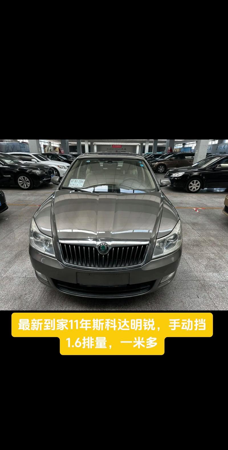2011年大众斯柯达明锐(11款斯柯达明锐多少钱)