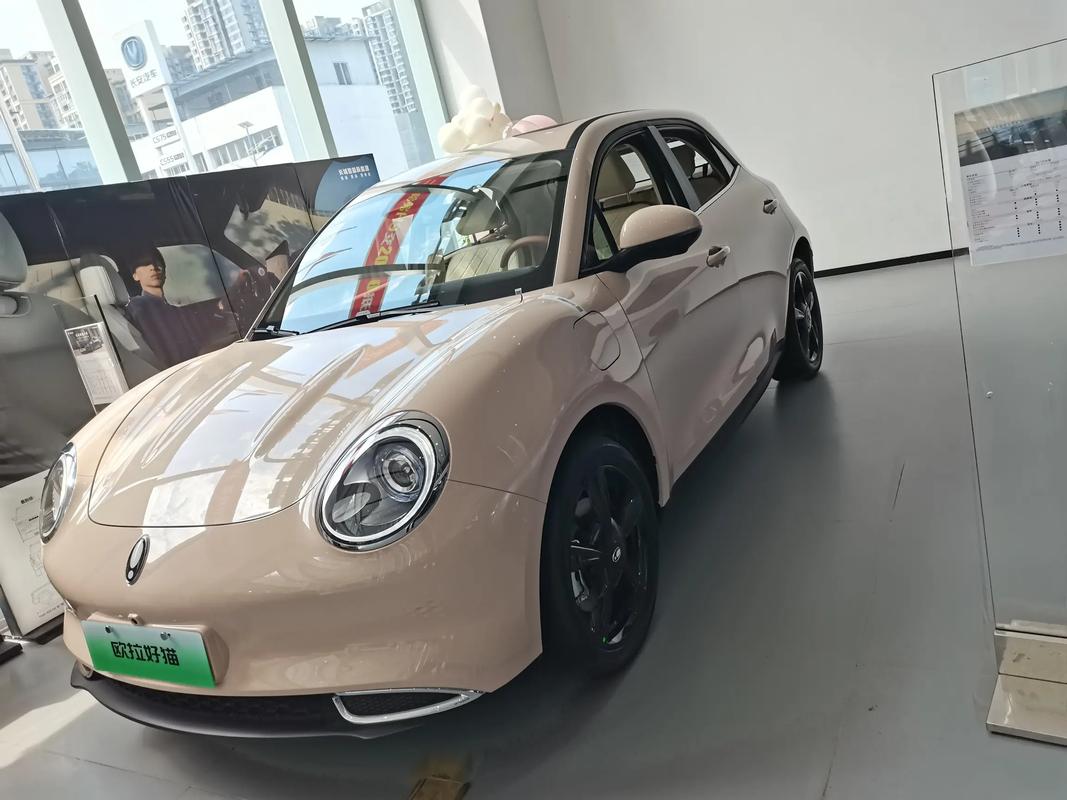 欧拉长城电动汽车(长城欧拉 电车)