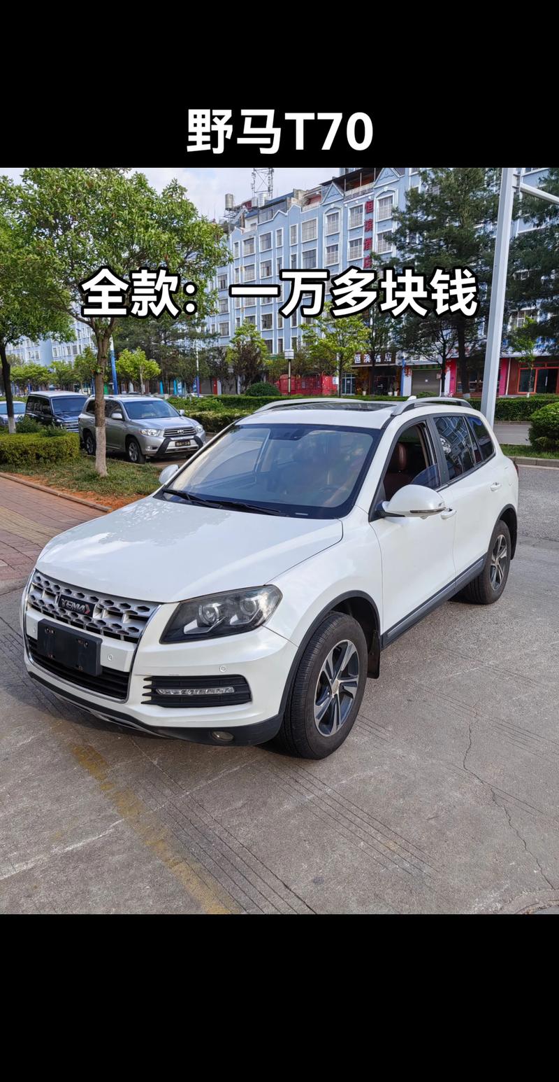 野马t70的价格(野马车t70多少钱)