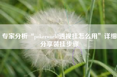 专家分析“pokerworld透视挂怎么用	”详细分享装挂步骤