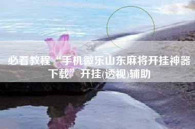 必看教程“手机微乐山东麻将开挂神器下载	”开挂(透视)辅助