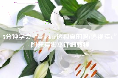 3分钟学会“wepoker透视真的吗(透视挂)!	”附开挂脚本详细教程