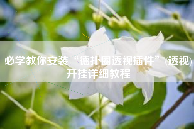 必学教你安装“德扑圈透视插件	”(透视)开挂详细教程