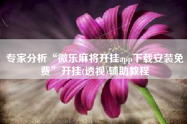 专家分析“微乐麻将开挂app下载安装免费	”开挂(透视)辅助教程