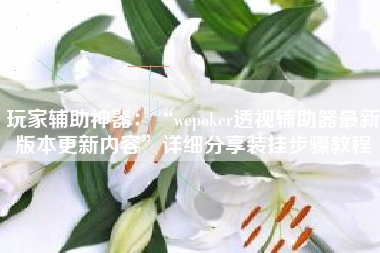 玩家辅助神器：“wepoker透视辅助器最新版本更新内容”详细分享装挂步骤教程