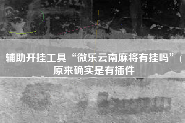 辅助开挂工具“微乐云南麻将有挂吗”(原来确实是有插件
