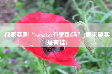 独家实测“wepoker有辅助吗	”(原来确实是有挂)
