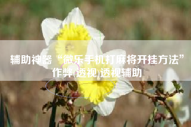 辅助神器“微乐手机打麻将开挂方法	”作弊(透视)透视辅助