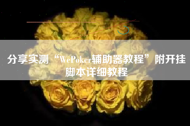 分享实测“WePoker辅助器教程”附开挂脚本详细教程