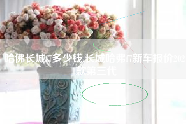 哈佛长城f7多少钱,长城哈弗f7新车报价2021款第三代