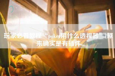 玩家必看教程“poker用什么透视器	”(原来确实是有插件