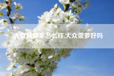 大众菠萝车怎么样,大众菠萝好吗