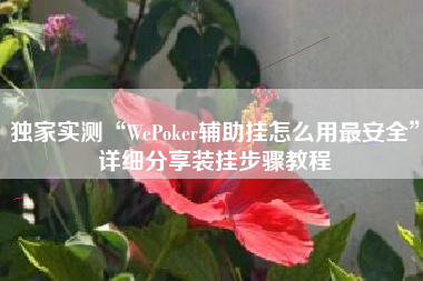 独家实测“WePoker辅助挂怎么用最安全”详细分享装挂步骤教程