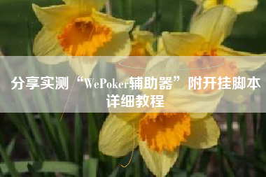 分享实测“WePoker辅助器”附开挂脚本详细教程