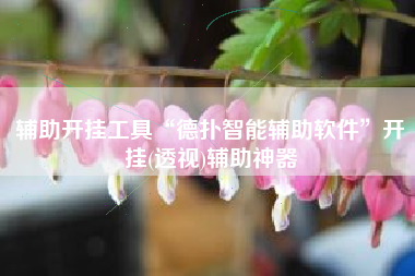 辅助开挂工具“德扑智能辅助软件”开挂(透视)辅助神器