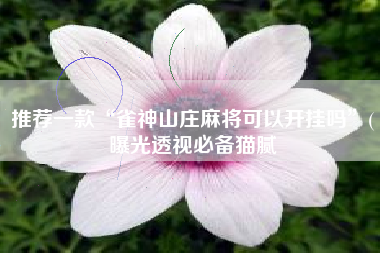 推荐一款“雀神山庄麻将可以开挂吗	”(曝光透视必备猫腻