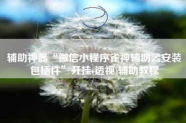 辅助神器“微信小程序雀神辅助器安装包插件	”开挂(透视)辅助教程