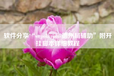 软件分享“wepokerplus德州局辅助”附开挂脚本详细教程