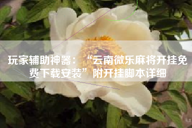 玩家辅助神器：“云南微乐麻将开挂免费下载安装”附开挂脚本详细