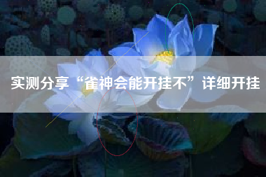 实测分享“雀神会能开挂不”详细开挂