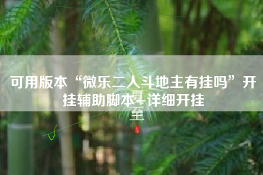 可用版本“微乐二人斗地主有挂吗”开挂辅助脚本+详细开挂