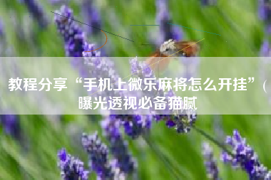 教程分享“手机上微乐麻将怎么开挂	”(曝光透视必备猫腻