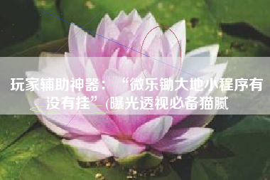 玩家辅助神器：“微乐锄大地小程序有没有挂”(曝光透视必备猫腻