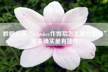 教程分享“AApoker作弊后怎么防止封号”(原来确实是有插件)