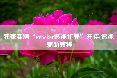 独家实测“wepoker透视作弊	”开挂(透视)辅助教程