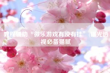 教程辅助“微乐游戏有没有挂”(曝光透视必备猫腻