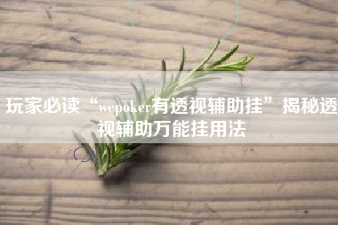 玩家必读“wepoker有透视辅助挂	”揭秘透视辅助万能挂用法