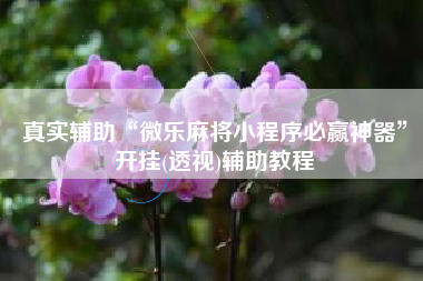 真实辅助“微乐麻将小程序必赢神器”开挂(透视)辅助教程