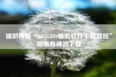 辅助神器“we-poker辅助软件下载教程”原来有神器下载