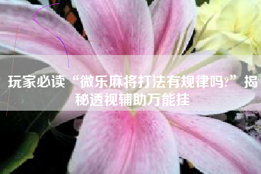 玩家必读“微乐麻将打法有规律吗?	”揭秘透视辅助万能挂