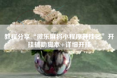 教程分享“微乐麻将小程序开挂器”开挂辅助脚本+详细开挂