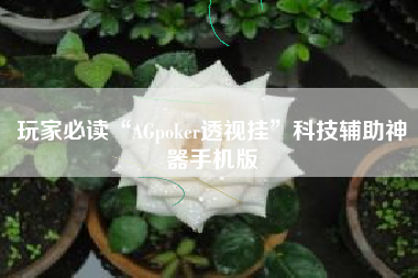 玩家必读“AGpoker透视挂”科技辅助神器手机版