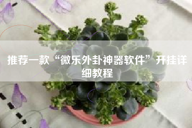 推荐一款“微乐外卦神器软件”开挂详细教程