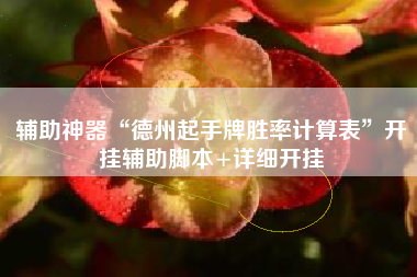 辅助神器“德州起手牌胜率计算表”开挂辅助脚本+详细开挂