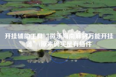 开挂辅助工具“微乐海南麻将万能开挂器”(原来确实是有插件