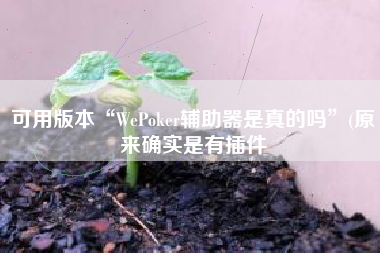 可用版本“WePoker辅助器是真的吗	”(原来确实是有插件