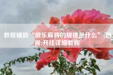 教程辅助“微乐麻将的规律是什么”(透视)开挂详细教程